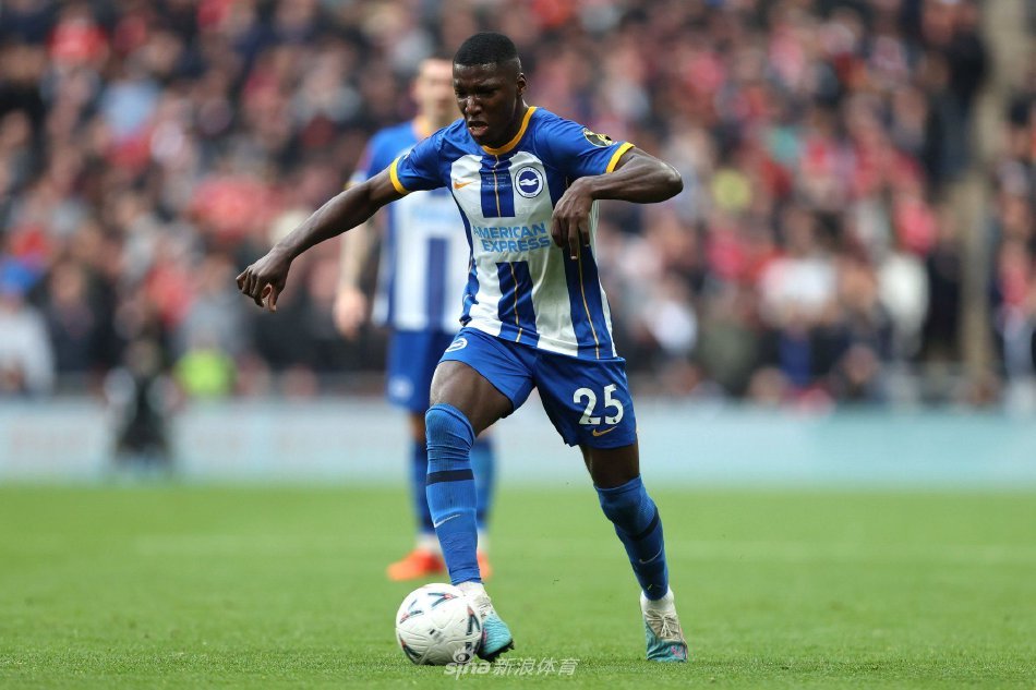 多的高水平 多的高水平