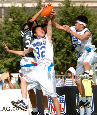 伴海社区的 伴海社区的